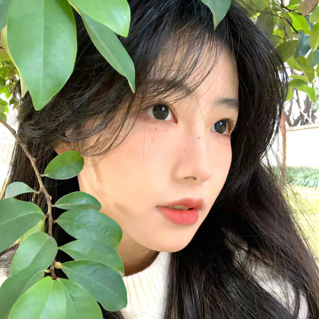 功夫好小子